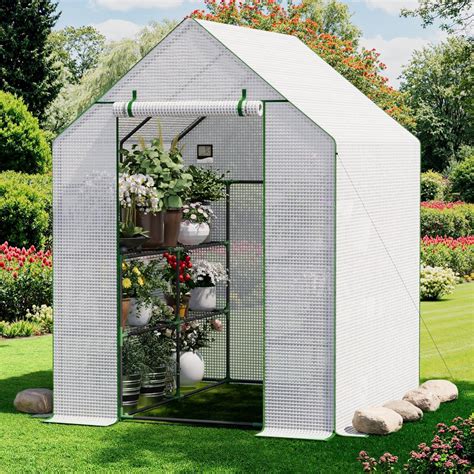 Amazon.in: Small Greenhouse - raincitystudios.com
