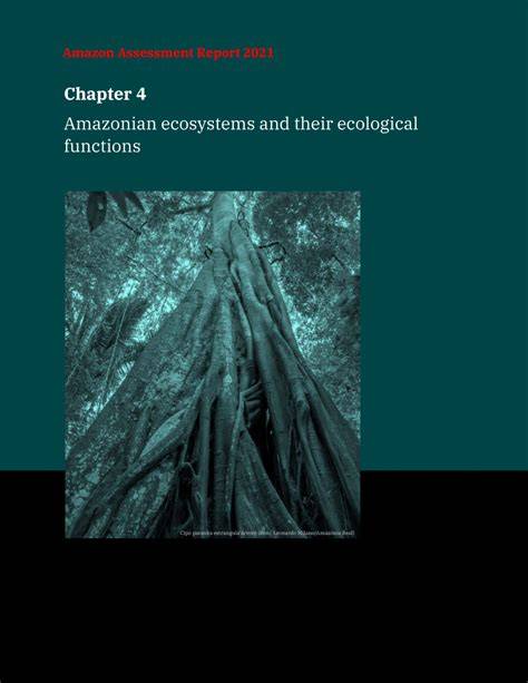 Amazonian ecosystems and their ecological functions - raincitystudios.com