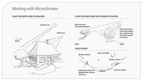 Ameliorating the effects of climate change: Modifying microclimates ... - raincitystudios.com