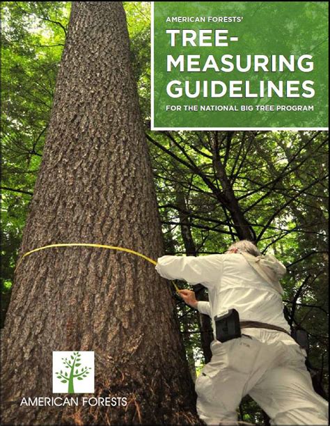 aMerican Forests chaMpion trees Measuring guidelines handbook - raincitystudios.com