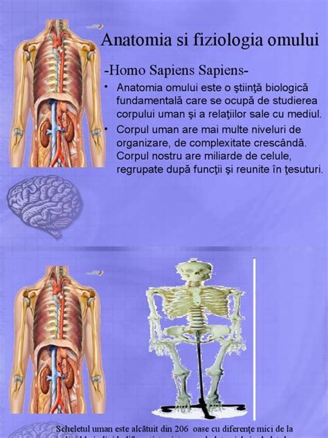 AMG: Anatomia si fiziologia omului , 35 METABOLSMUL - Blogger