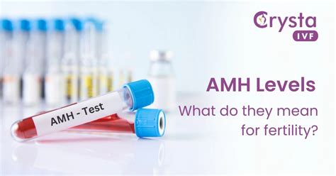 AMH test results- lifelabs ontario - Trouble conceiving