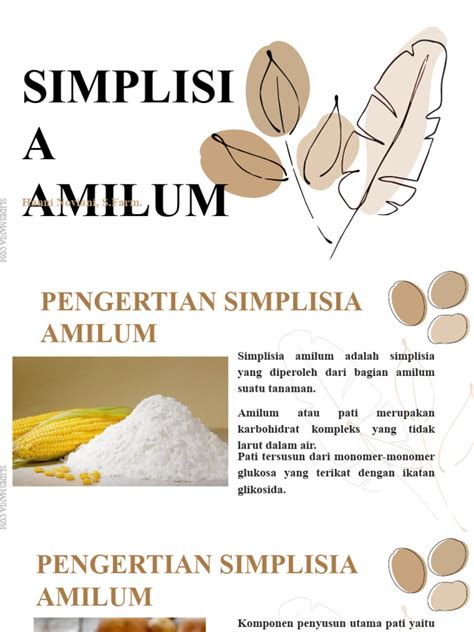 Amilum - Wikipedia bahasa Indonesia, ensiklopedia bebas - wintechmobiles.com