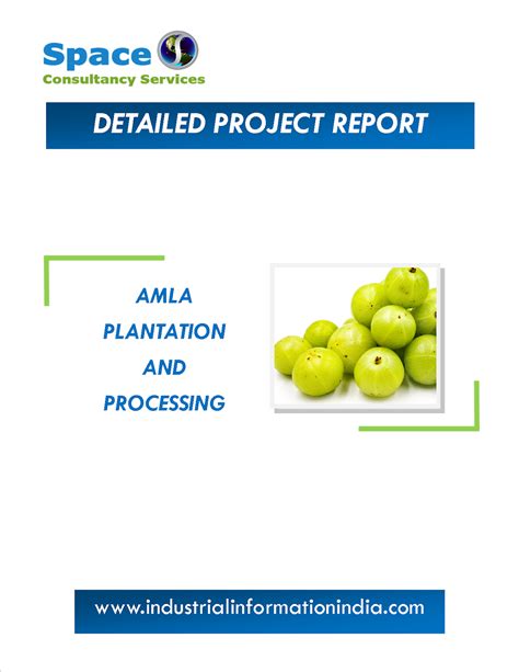 AMLA Report