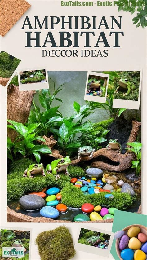 Amphibian Decor - Etsy - muktibox.com