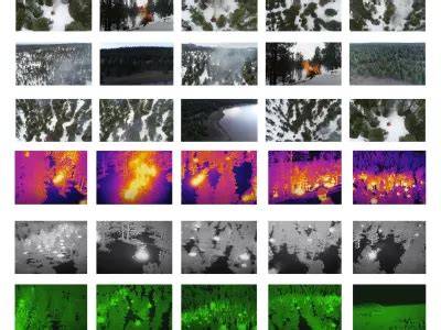 An AI-ready remote sensing dataset for high-resolution forest ... - raincitystudios.com