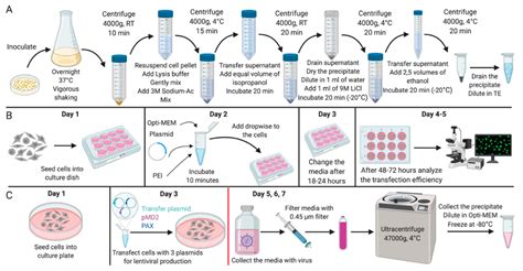 An Efficient Method for Isolation of Plasmid DNA for Transfection of ... - muktibox.com