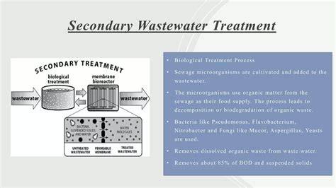 An Introduction to Secondary Wastewater Treatment - raincitystudios.com