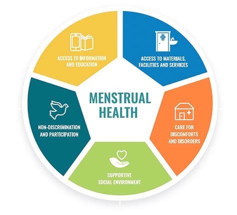 An Overarching Conceptual Framework for Menstrual Health in Sport ... - coolestguyplanet.net