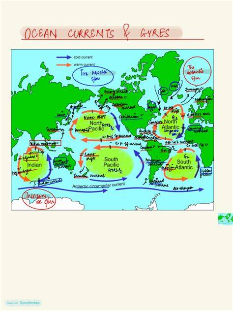 An Overview of Ocean Currents and How They Circulate - raincitystudios.com