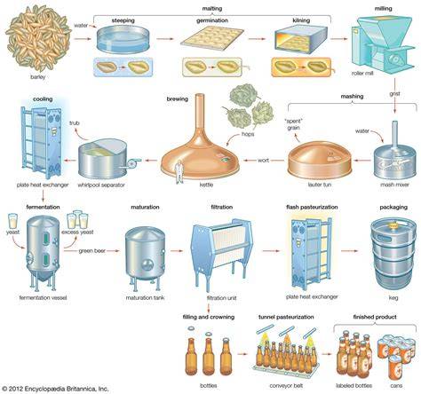 An Overview of the Mashing Process – Fermentation - raincitystudios.com