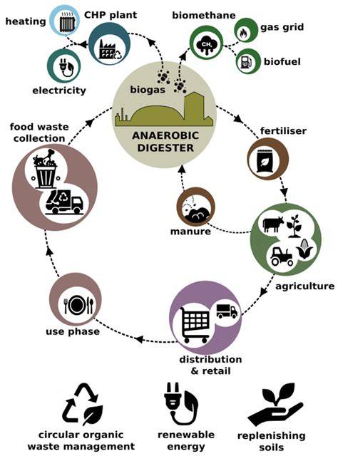 Anaerobic co-digestion of bioplastics as a sustainable mode of waste ... - raincitystudios.com