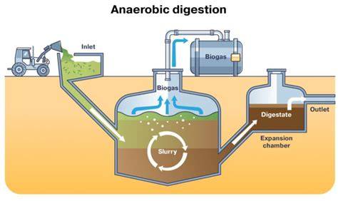 Anaerobic digestion as a sustainable technology for efficiently ... - raincitystudios.com