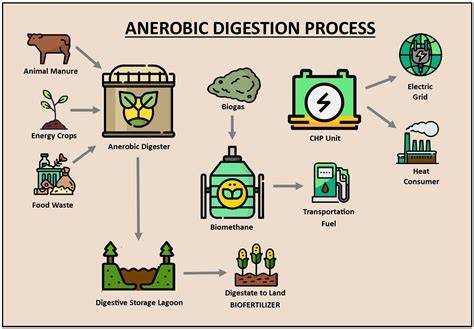 Anaerobic Digestion for Producing Renewable … - raincitystudios.com