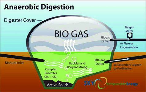 Anaerobic digestion of agricultural waste for biogas production and ... - raincitystudios.com