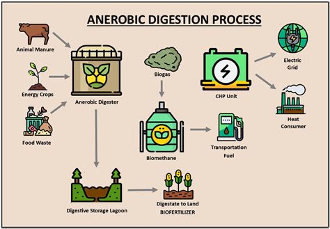 Anaerobic digestion of food waste using yeast - ScienceDirect - raincitystudios.com