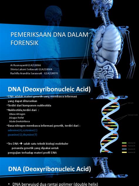 ANALISIS DNA DALAM KASUS FORENSIK - ResearchGate - muktibox.com