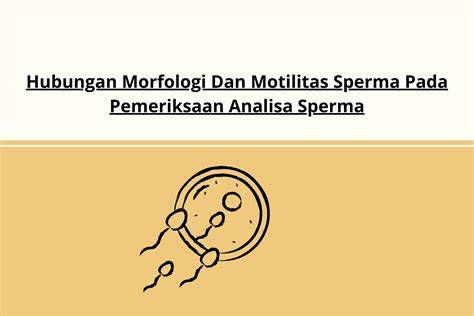 Analisis Morfologi dan Motilitas Sperma - raincitystudios.com