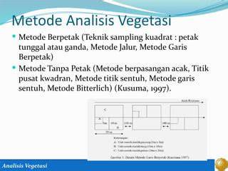 Analisis Vegetasi Metode Kuadrat - raincitystudios.com