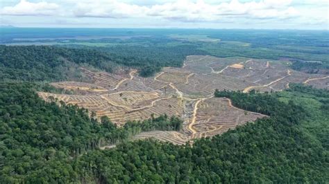 Analsis Spasial dan Temporal Deforestasi di Bentang Alam Hutan Kerinci ... - raincitystudios.com