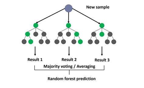Analysis of a Random Forests Model - wintechmobiles.com