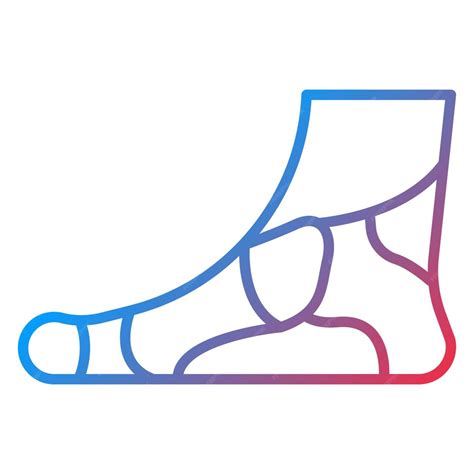 Anatomi metatarsal: The metatarsal bones run from the