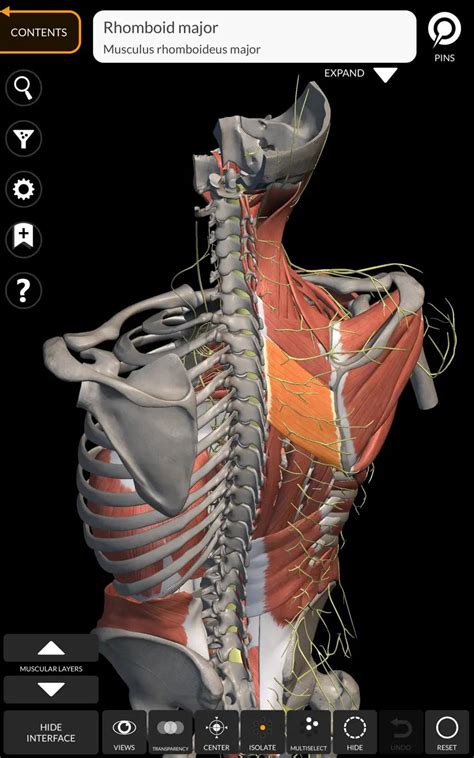 Anatomy 3D Atlas - Unduh dan instal gratis di Windows - muktibox.com