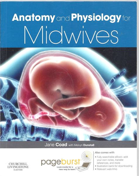 ANATOMY AND PHYSIOLOGY FOR MIDWIVES EC COAD JANE …