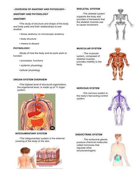 Anatomy and Physiology Module Overview - muktibox.com