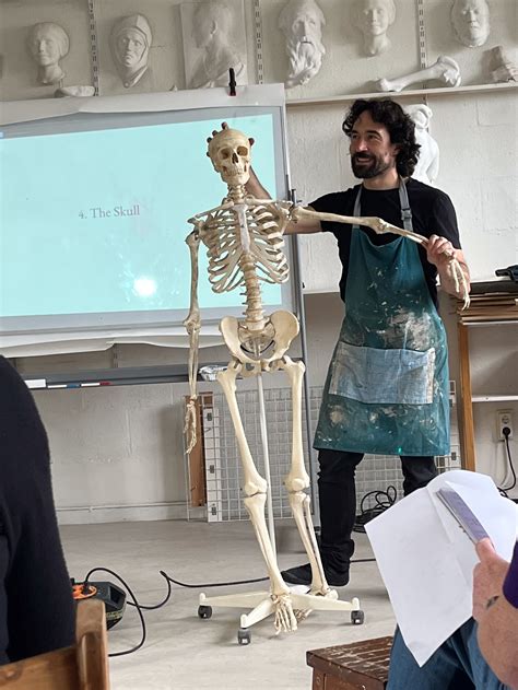 Anatomy Lectures for Artists: Exploring the ... - Figura … - muktibox.com