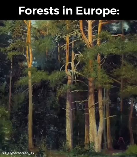 Anatomy of European and North American Woods — An Interactive ... - raincitystudios.com