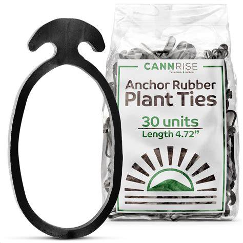 Anchor Bands for Trellising - 33-Pack 12 cm/4.72 in Rubber Vine Ties ... - raincitystudios.com
