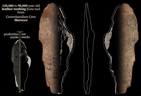 Ancient bone tools found in Moroccan cave were used to work leather ... - wintechmobiles.com