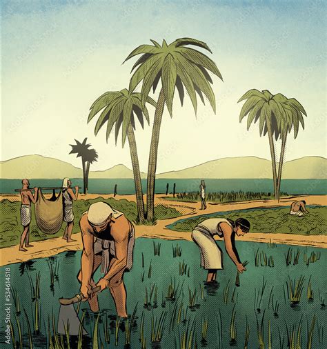 Ancient Egypt Agriculture | Farmland & Irrigation - wintechmobiles.com