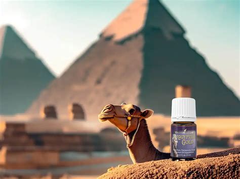 Ancient Egyptian Essential Oils for Natural Wellbeing | Amun Essential ... - wintechmobiles.com
