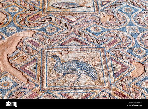 Ancient Eustolios Villa Mosaics at Kourion Site - wintechmobiles.com