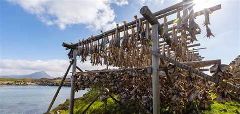 Ancient Food Preservation - Pembelajaran Teknologi Pengawetan … - wintechmobiles.com