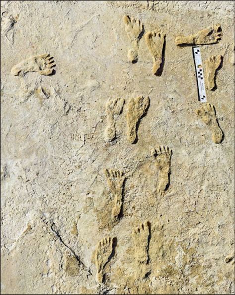 Ancient Footprints Found in New Mexico | Discovery - wintechmobiles.com