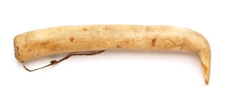 Ancient Hide Scraper Used by Native Americans - wintechmobiles.com