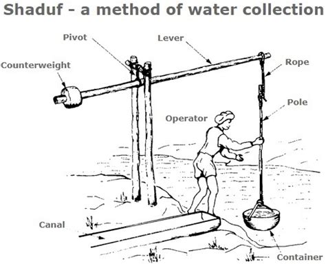 Ancient Invention of the Shaduf - A Revolution in Irrigation - wintechmobiles.com