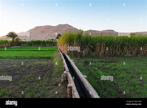 Ancient Irrigation in Egypt - - wintechmobiles.com