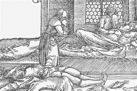 Ancient pathogens and the rise of human diseases - wintechmobiles.com