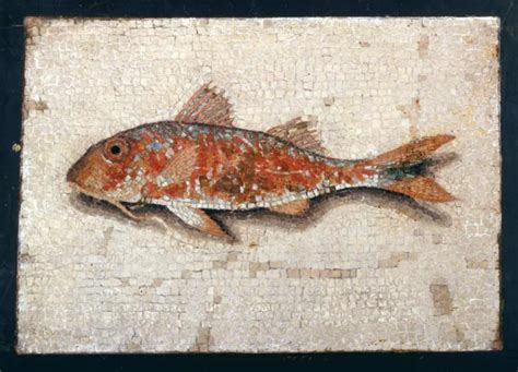 Ancient Roman Mosaics Fish - wintechmobiles.com