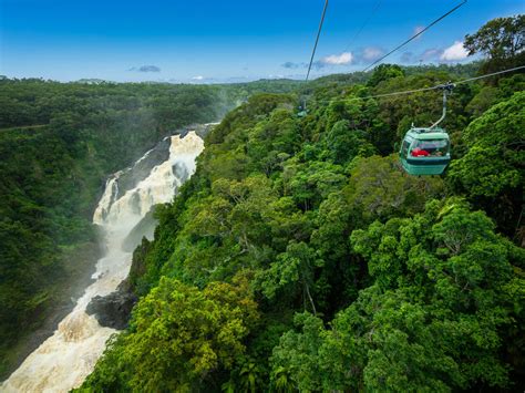 Ancient Tropical Rainforest Tours | Skyrail - wintechmobiles.com