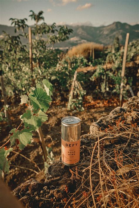 Ancient Vines, Modern Glasses: The Timeless Art of … - wintechmobiles.com