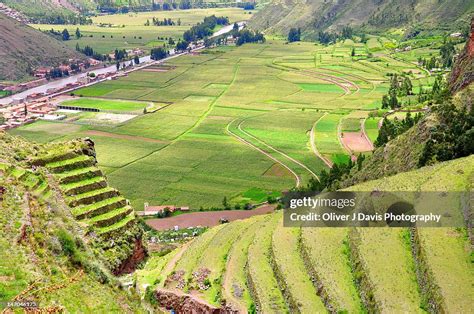 Andes Potato Farming Terraces - wintechmobiles.com