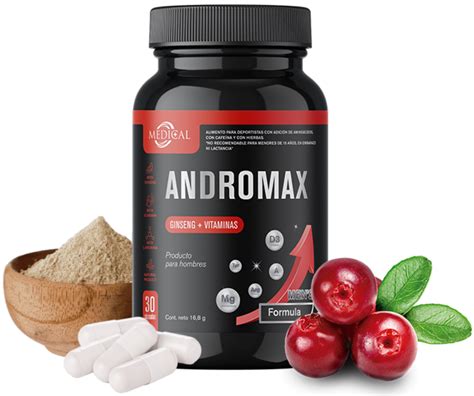 andromax q1 - elchoricharrua.com