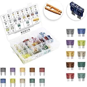 Andu 220 PCS Assorted Standard & Mini Auto Car Truck Blade Fuses … - raincitystudios.com