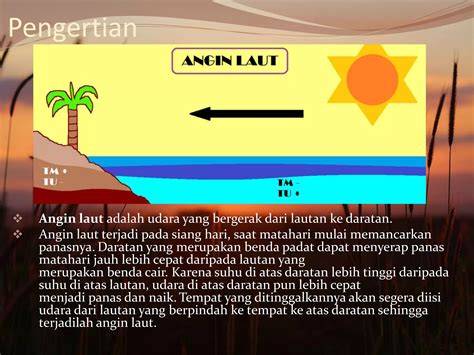 Angin Laut - Proses - Manfaat - Bahaya - raincitystudios.com