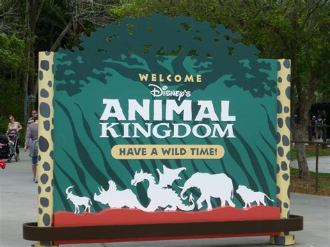  | ANIMAL KIngdom Entrance questions